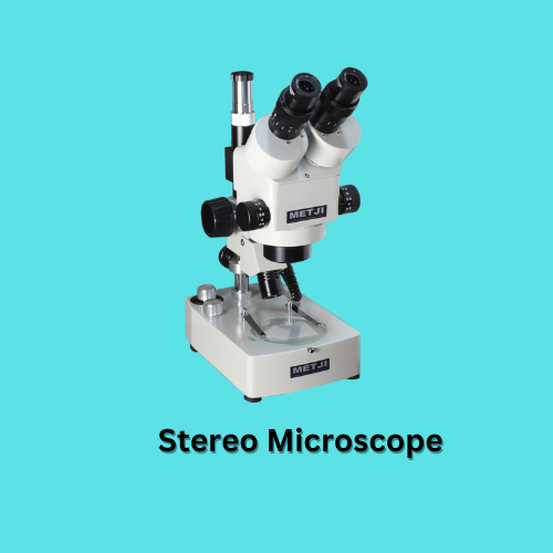 Stereo Microscope