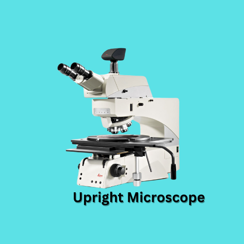 upright microscope